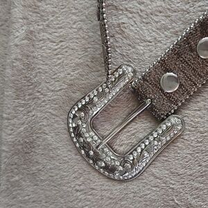 Elegant Silver and Brown Embellished Belt